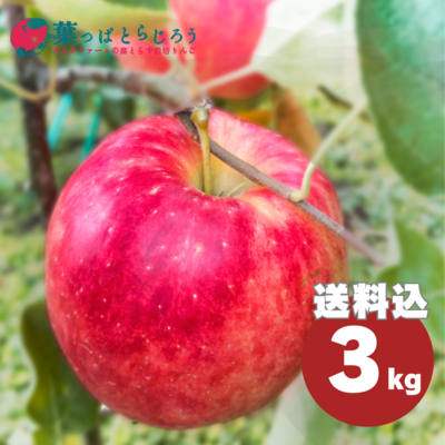 赤いリンゴ（緑の葉付き） 葉とらずサンふじ 津軽ゆめりんごファーム | G-Callショッピング